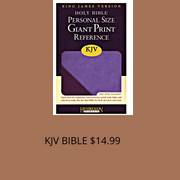 Spring Special: Violet Set KJV Bible, Tote bag, Bible Case