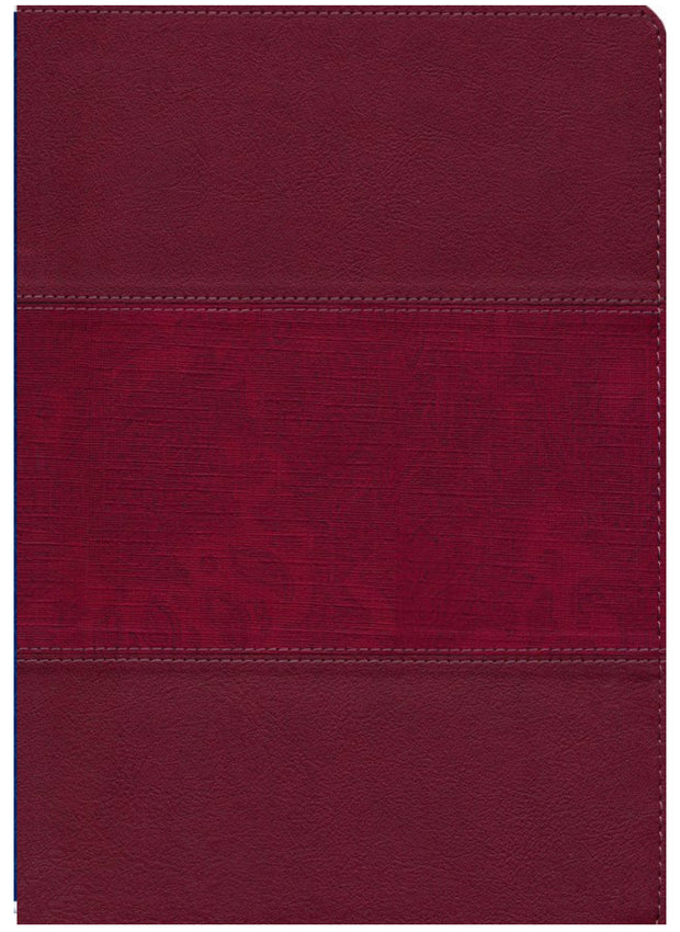 NIV Large-Print Study Bible, Fully Revised Edition, Comfort Print--soft leather-look, burgundy (red letter)