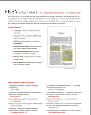 ESV Study Bible, TruTone Forest/Tan Trail Design