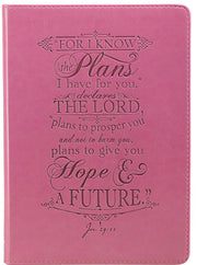 Jeremiah 29:11 For I know the plans I have for you